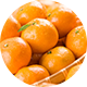 温州みかん