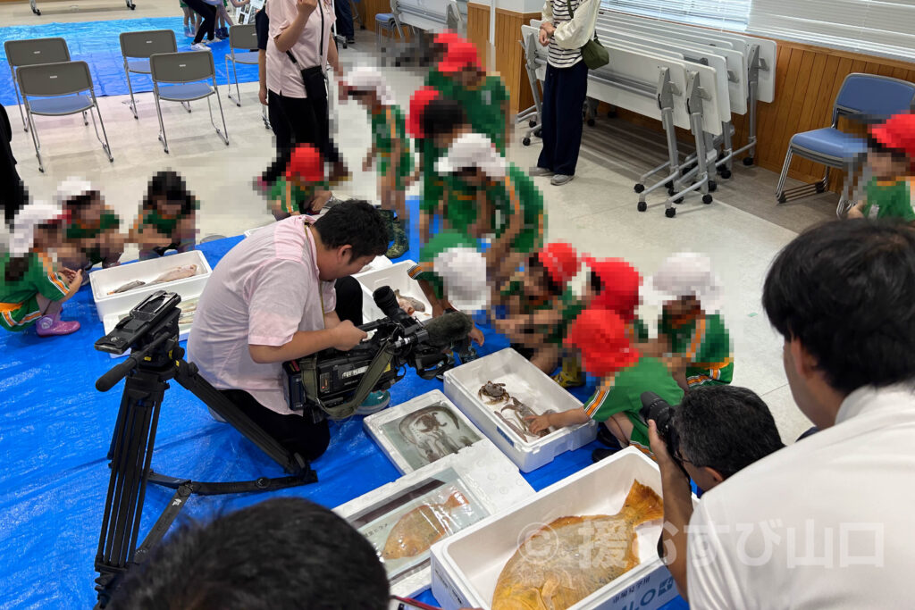 県以東機船底曳網漁業協同組合・下関漁港・泉幼稚園・稚魚放流