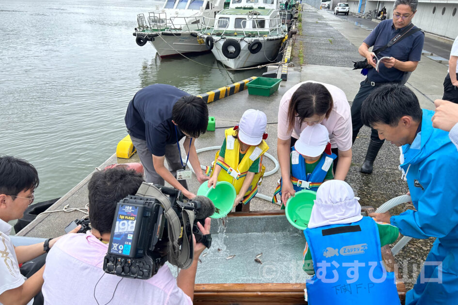 県以東機船底曳網漁業協同組合・下関漁港・泉幼稚園・稚魚放流