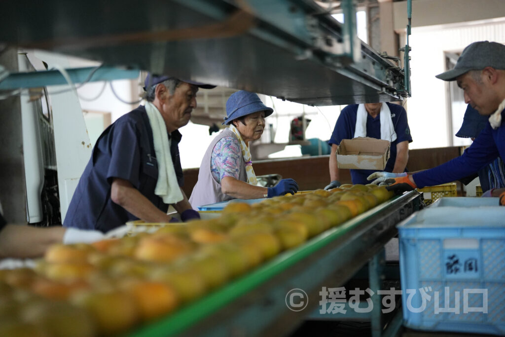 県産農林水産物サポーター研修会・後編