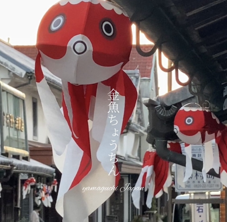 画像：金魚ちょうちんと白壁の街並み。