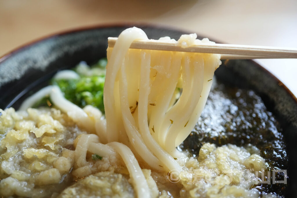 手打ちうどん よしの・美祢市