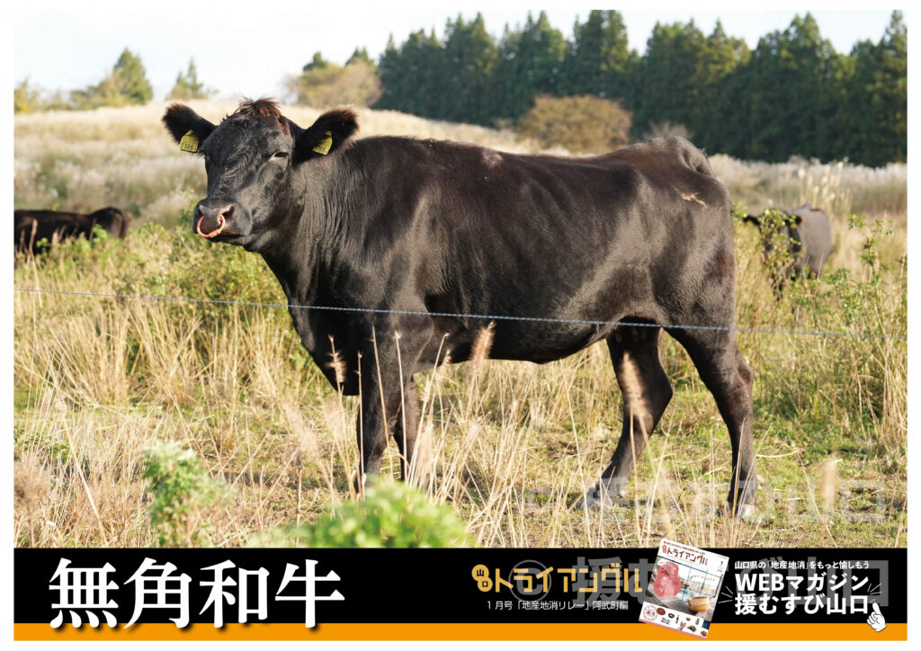 阿武町・花田憲彦・町長・無角和牛・無角和牛丼・道の駅・千代丸食堂