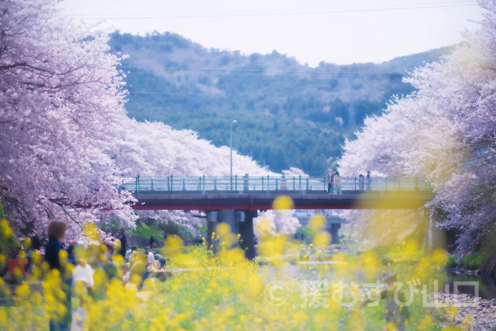 美祢市・篠田洋司市長