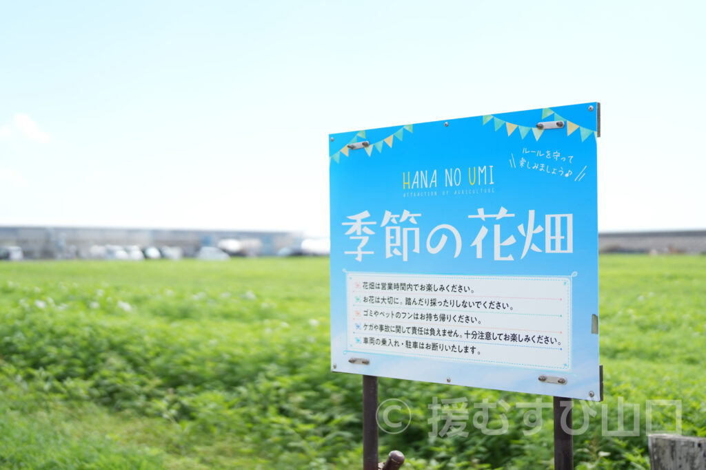 株式会社花の海・花の海・山陽小野田市