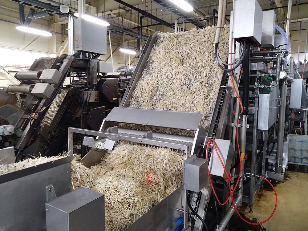 株式会社あおき・黒豆もやし・ブラックマッペ・緑豆太もやし・小粒大豆もやし・大豆もやし・