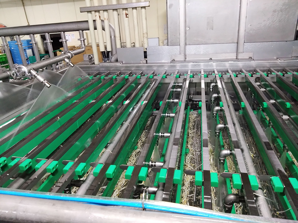 株式会社あおき・黒豆もやし・ブラックマッペ・緑豆太もやし・小粒大豆もやし・大豆もやし・