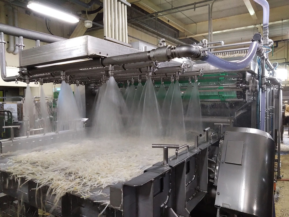 株式会社あおき・黒豆もやし・ブラックマッペ・緑豆太もやし・小粒大豆もやし・大豆もやし・