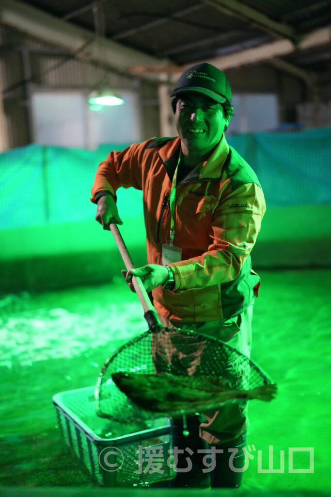 下松市栽培漁業センター・ひらめきパーク笠戸島・笠戸ひらめ・笠戸のとらふぐ・笠戸のさば・笠戸のあじ