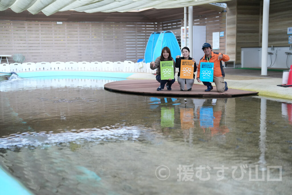 下松市栽培漁業センター・ひらめきパーク笠戸島・笠戸ひらめ・笠戸のとらふぐ・笠戸のさば・笠戸のあじ