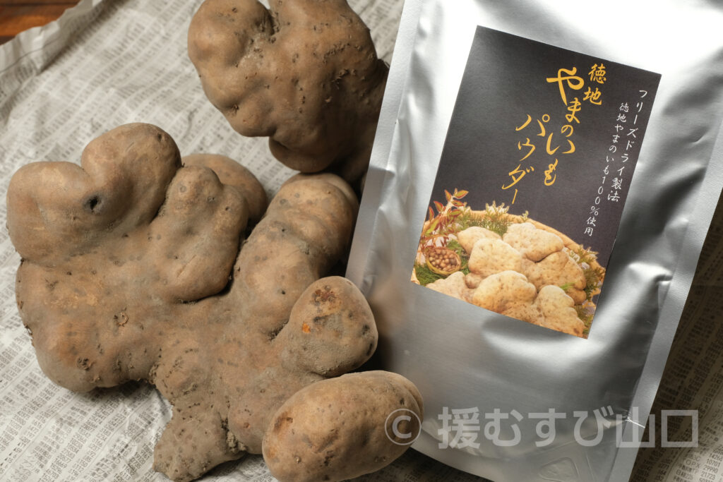 徳地やまのいも・やまぐちの農林水産物需要拡大協議会・山口県農林水産部 ぶちうまやまぐち推進課・ぶちうま！アンバサダー・生芋・パウダー