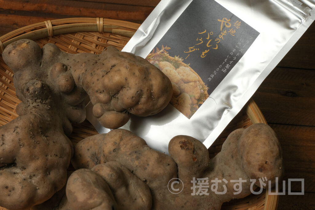 徳地やまのいも・やまぐちの農林水産物需要拡大協議会・山口県農林水産部 ぶちうまやまぐち推進課・ぶちうま！アンバサダー・生芋・パウダー
