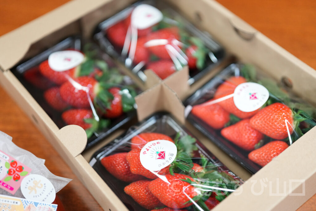 光市・芳岡統市長・カンロ飴・虹ヶ浜・里の厨