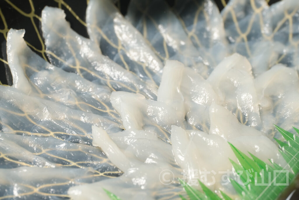 ぶちうまアンバサダー・やまぐちの農林水産物需要拡大協議会・やまぐちほろ酔いとらふぐ・酔虎・すいこ