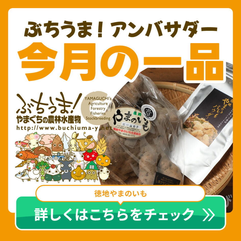 ぶちうまアンバサダー・やまぐちの農林水産物需要拡大協議会・徳地やまのいも