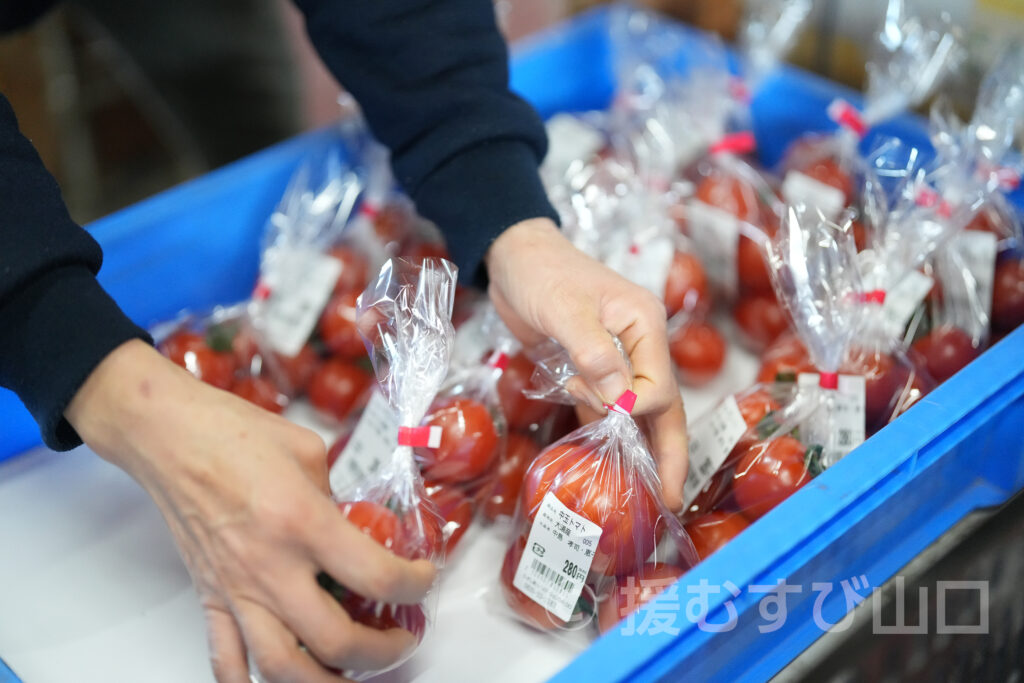 ふれあいステーションDAIDO・株式会社柳花園