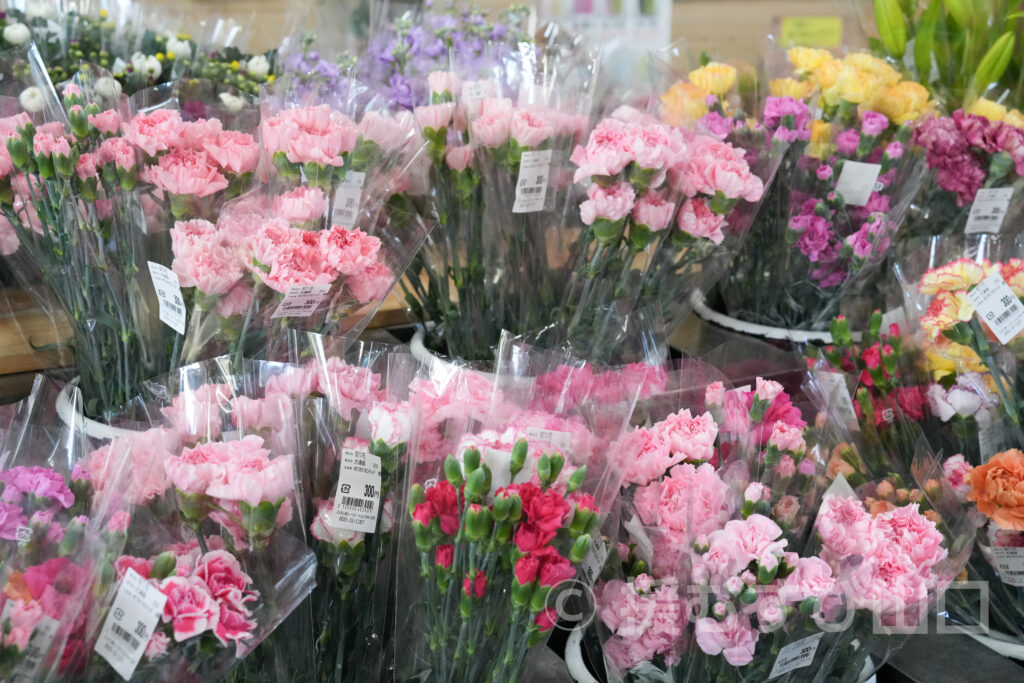 ふれあいステーションDAIDO・株式会社柳花園