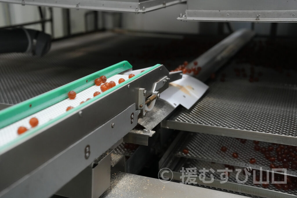 カンロ飴・カンロ株式会社・ひかり工場・カンロ飴食堂