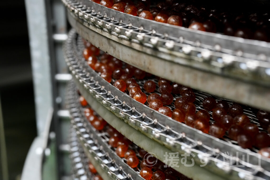 カンロ飴・カンロ株式会社・ひかり工場・カンロ飴食堂