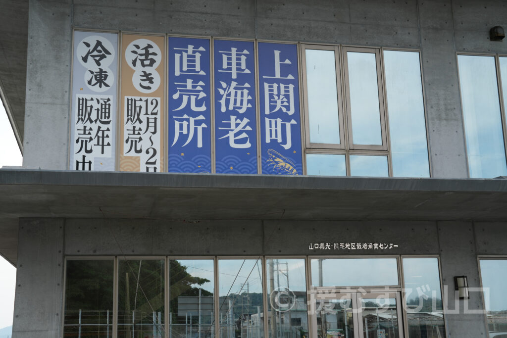 光・熊毛地区栽培漁業協会(栽培漁業センター )
谷村事務局長 インタビュー