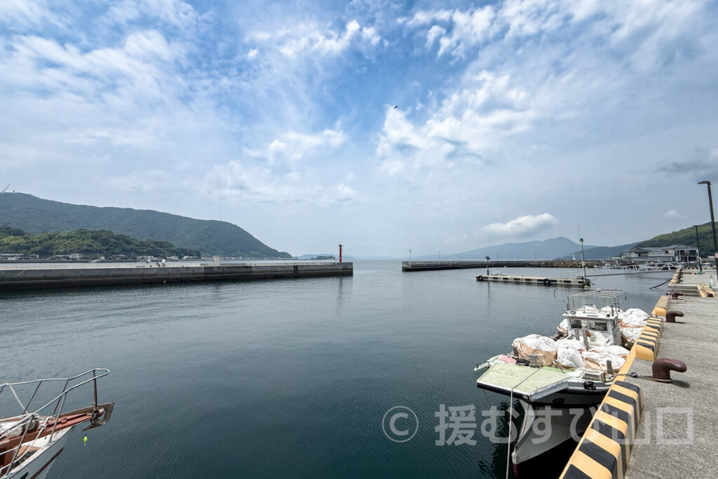 道の駅 上関海峡(一般財団法人なごみ)
高津京介駅長 インタビュー