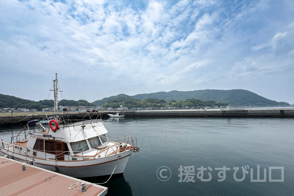 道の駅 上関海峡(一般財団法人なごみ)
高津京介駅長 インタビュー