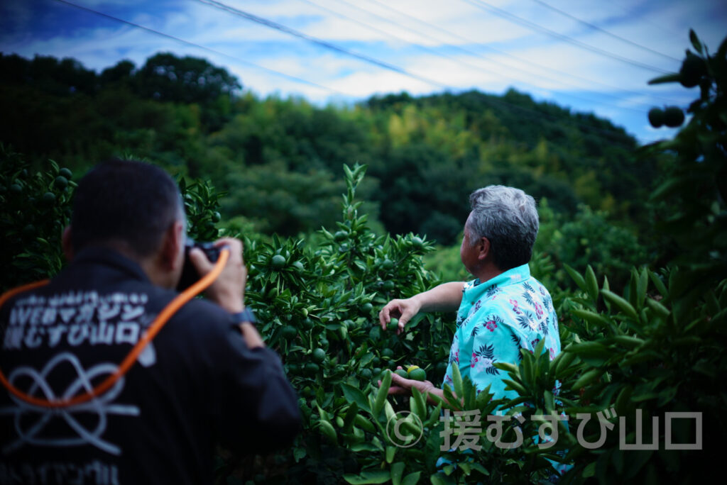 國司グリーン/周防大島花木生産組合
國司崇生さんインタビュー