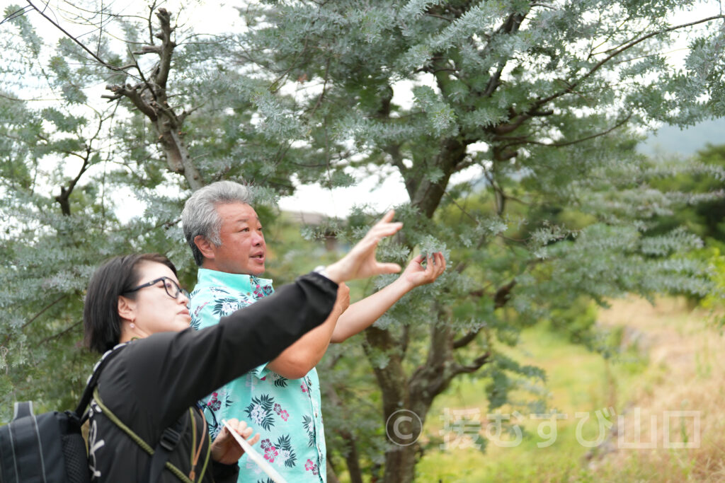 國司グリーン/周防大島花木生産組合
國司崇生さんインタビュー