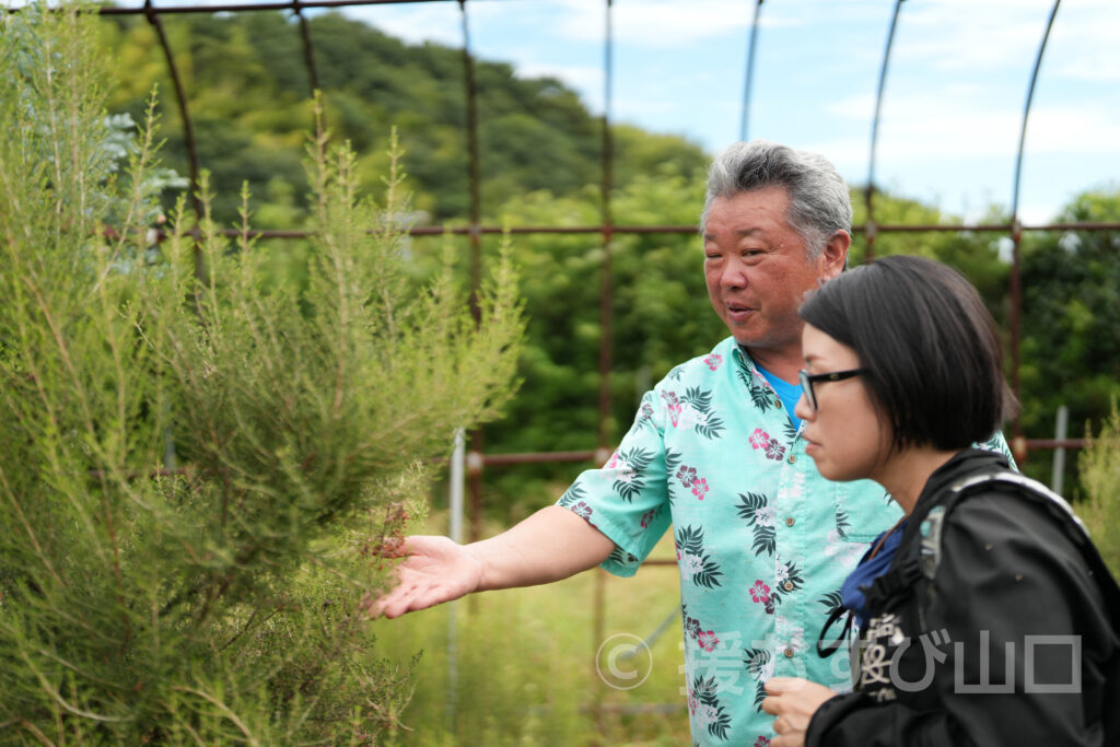國司グリーン/周防大島花木生産組合
國司崇生さんインタビュー