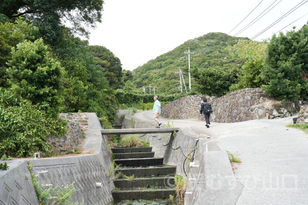 國司グリーン/周防大島花木生産組合
國司崇生さんインタビュー