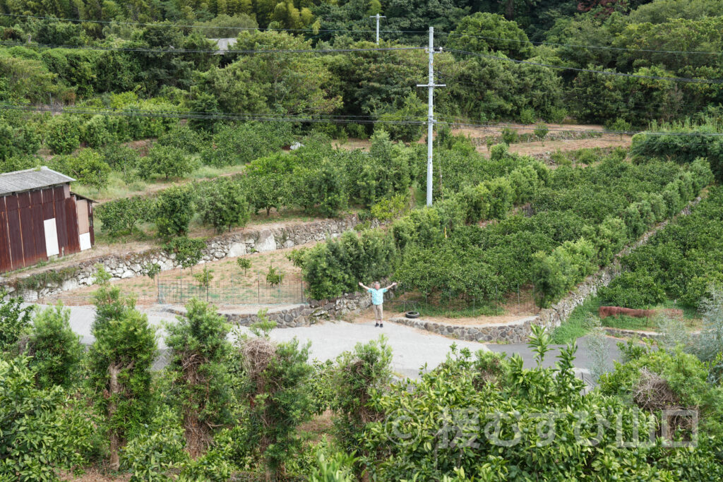 國司グリーン/周防大島花木生産組合
國司崇生さんインタビュー