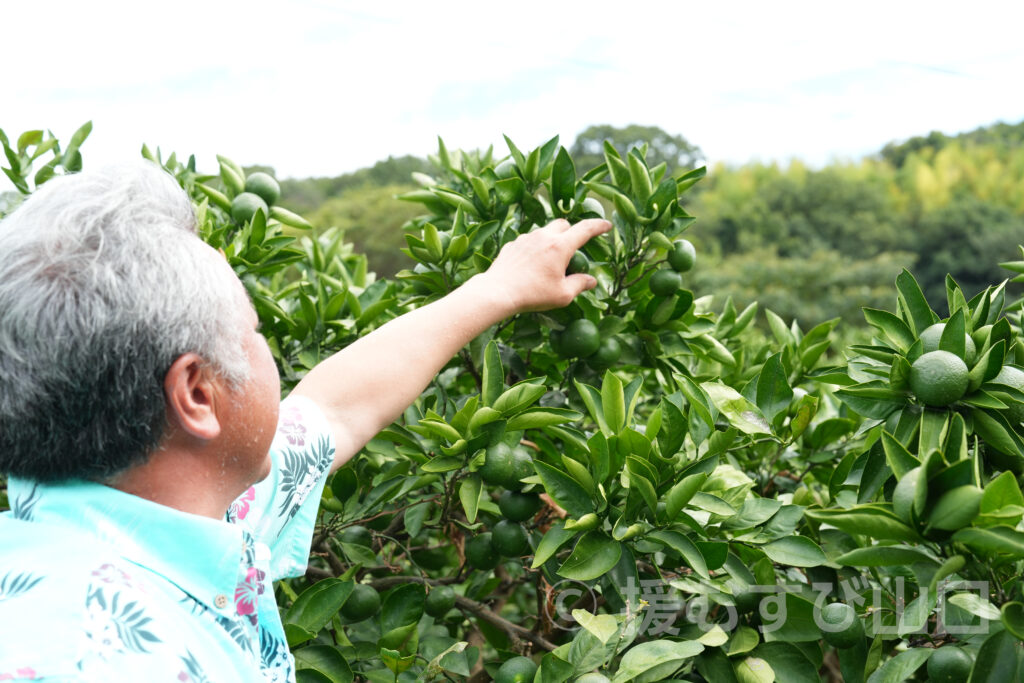 國司グリーン/周防大島花木生産組合
國司崇生さんインタビュー