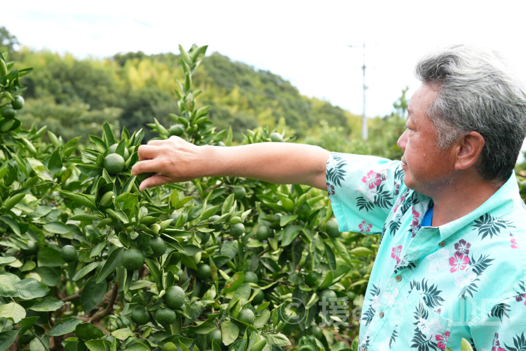 國司グリーン/周防大島花木生産組合
國司崇生さんインタビュー