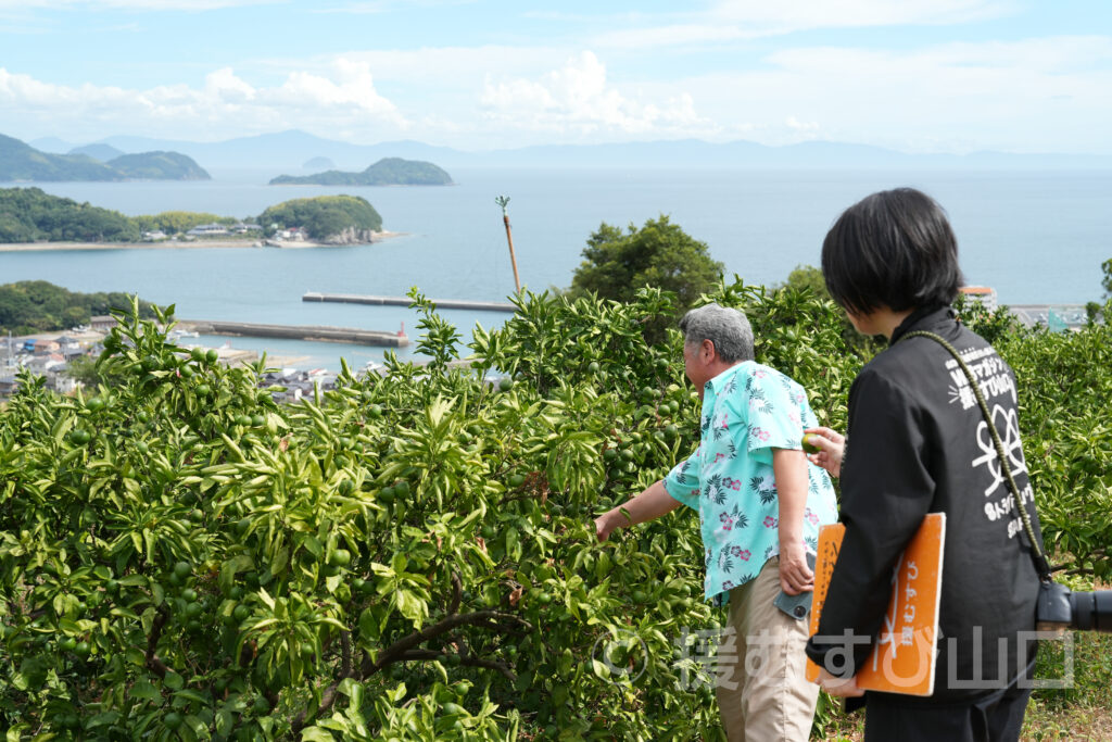 國司グリーン/周防大島花木生産組合
國司崇生さんインタビュー