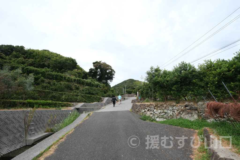 國司グリーン/周防大島花木生産組合
國司崇生さんインタビュー