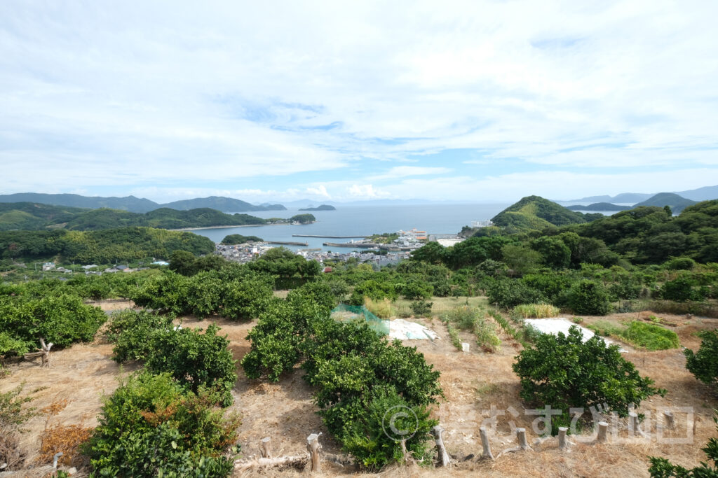 國司グリーン/周防大島花木生産組合
國司崇生さんインタビュー